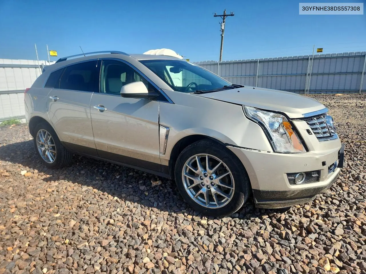 2013 Cadillac Srx Performance Collection VIN: 3GYFNHE38DS557308 Lot: 61014726
