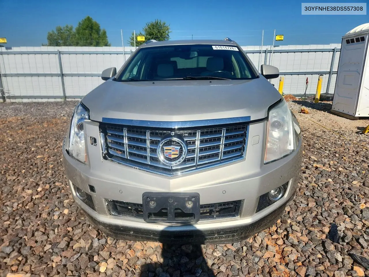 2013 Cadillac Srx Performance Collection VIN: 3GYFNHE38DS557308 Lot: 61014726