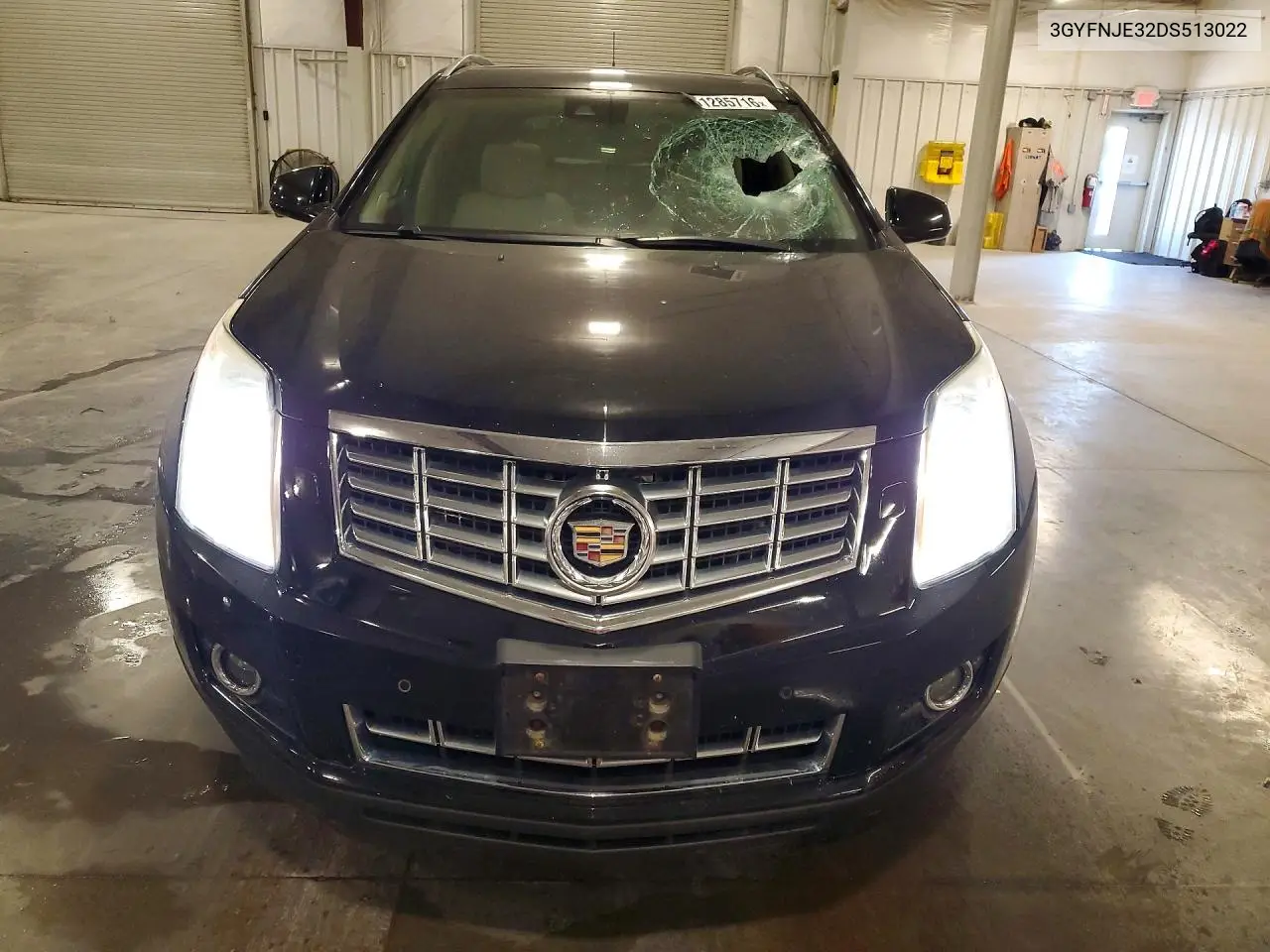 2013 Cadillac Srx Premium Collection VIN: 3GYFNJE32DS513022 Lot: 61285716