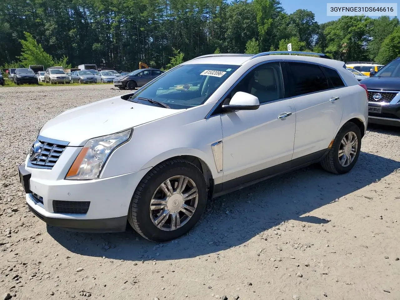 2013 Cadillac Srx Luxury Collection VIN: 3GYFNGE31DS646616 Lot: 61532096