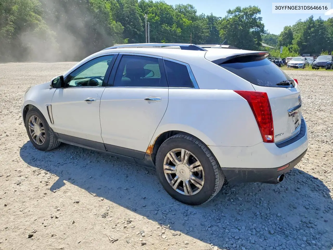 2013 Cadillac Srx Luxury Collection VIN: 3GYFNGE31DS646616 Lot: 61532096