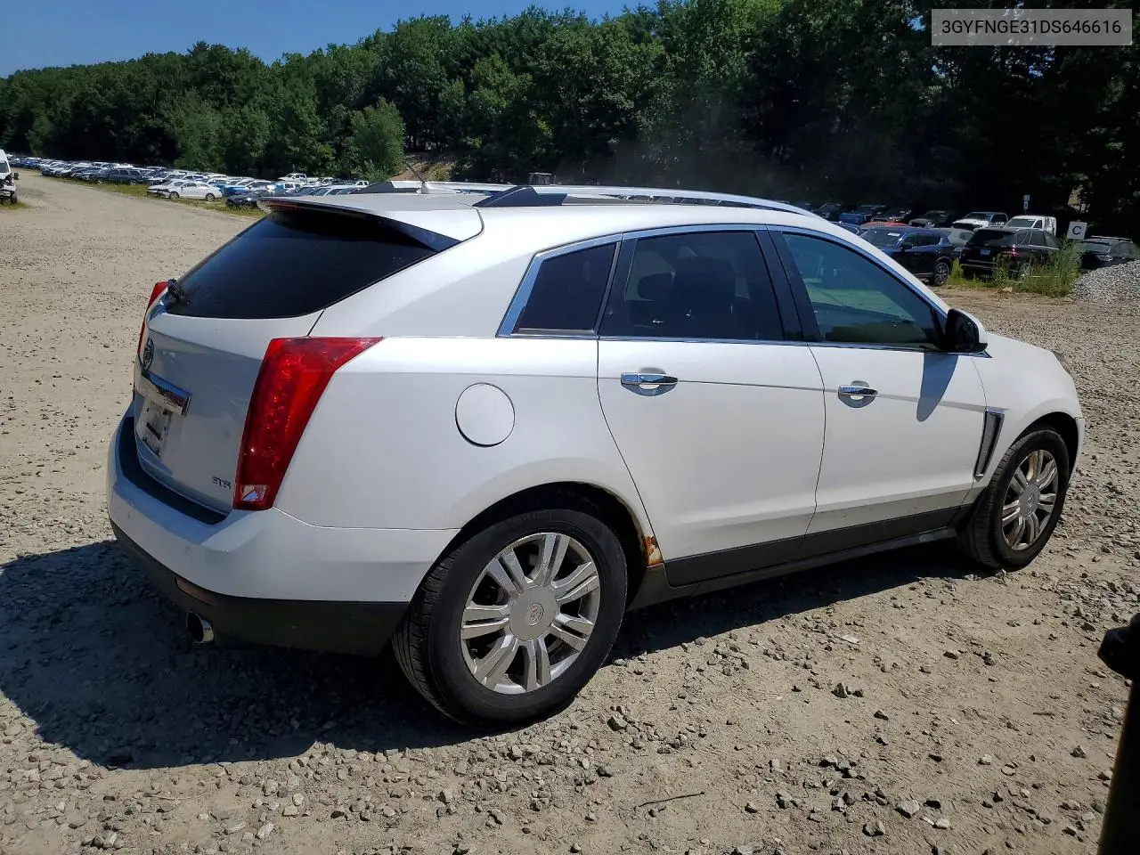 2013 Cadillac Srx Luxury Collection VIN: 3GYFNGE31DS646616 Lot: 61532096