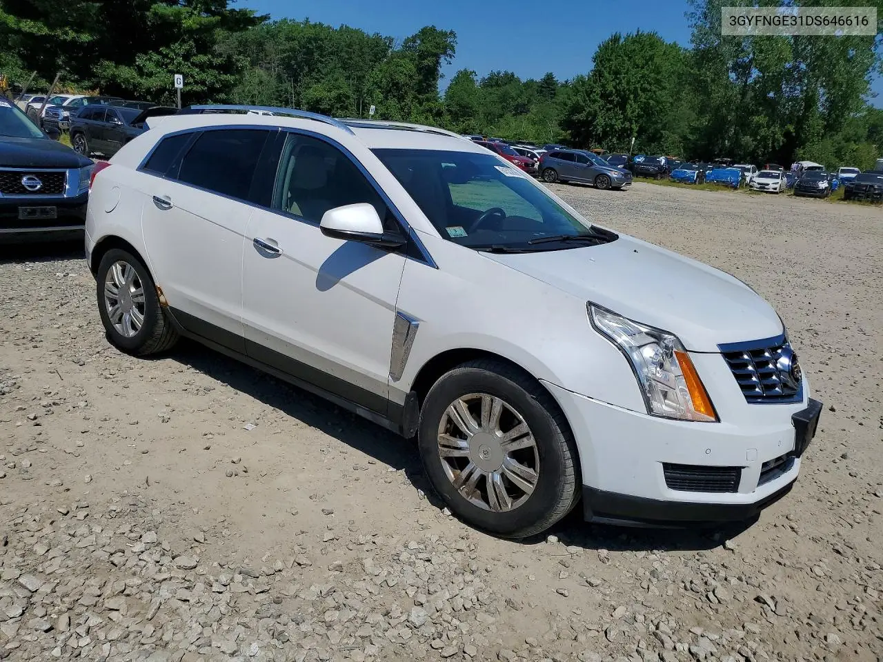 2013 Cadillac Srx Luxury Collection VIN: 3GYFNGE31DS646616 Lot: 61532096