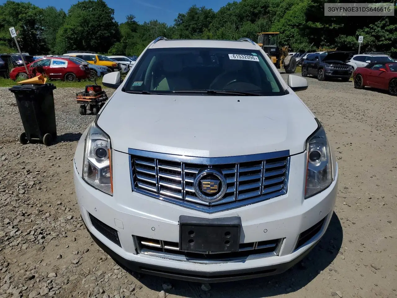 2013 Cadillac Srx Luxury Collection VIN: 3GYFNGE31DS646616 Lot: 61532096