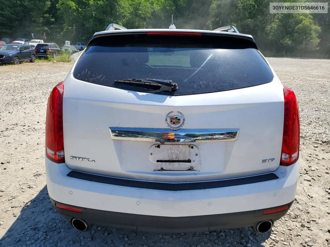2013 Cadillac Srx Luxury Collection VIN: 3GYFNGE31DS646616 Lot: 61532096