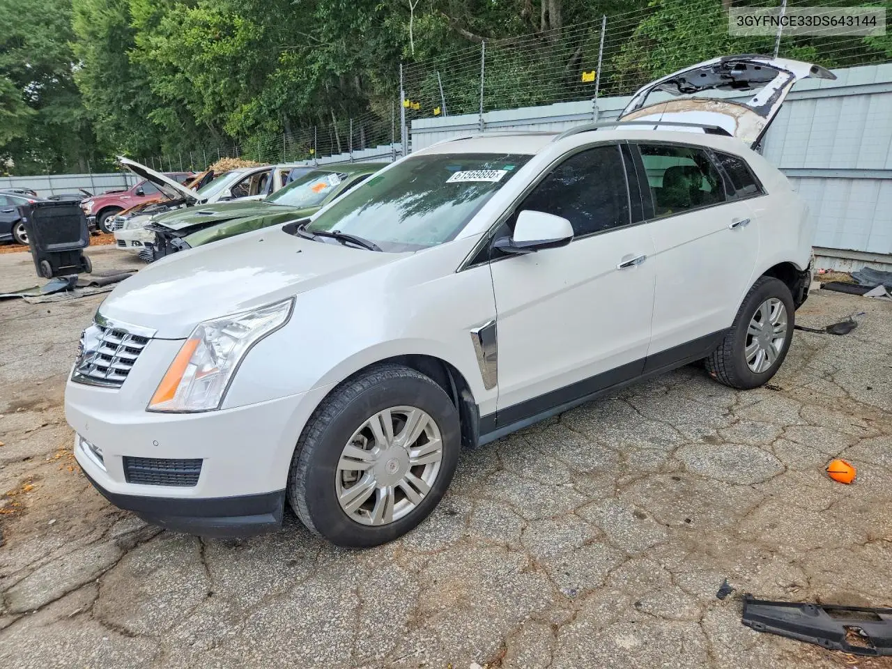 2013 Cadillac Srx Luxury Collection VIN: 3GYFNCE33DS643144 Lot: 61569886