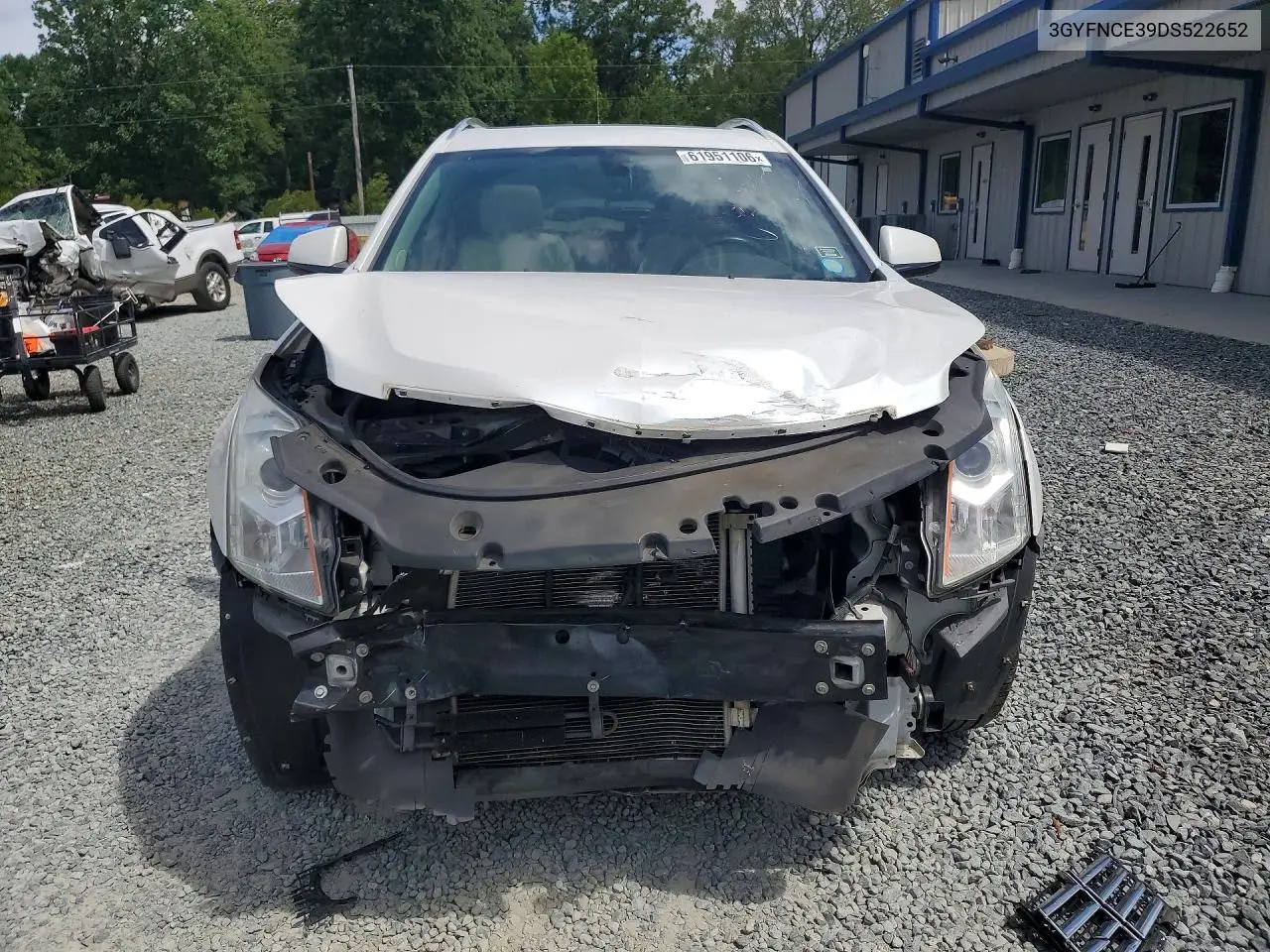2013 Cadillac Srx Luxury Collection VIN: 3GYFNCE39DS522652 Lot: 61951106