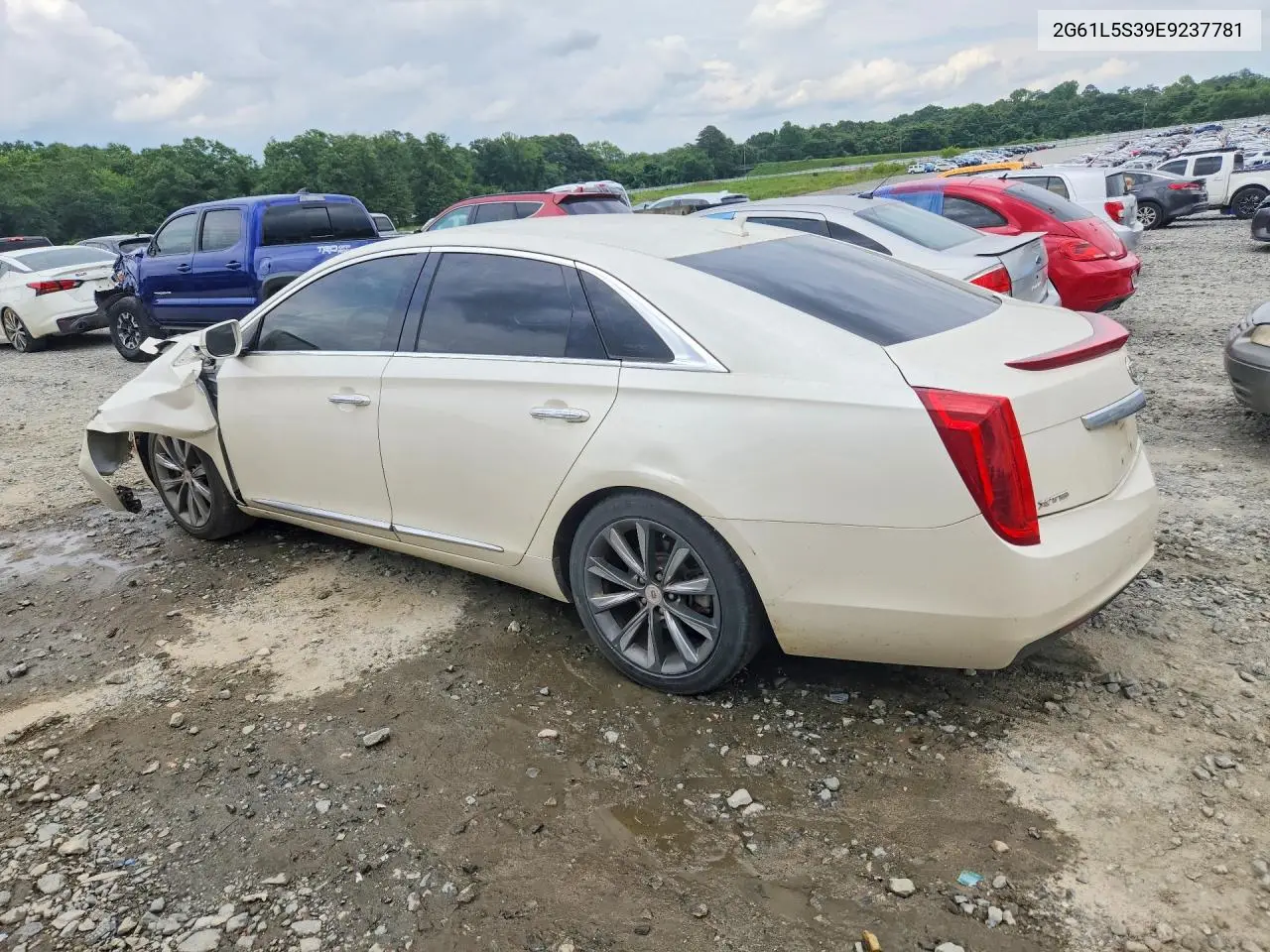 2014 Cadillac Xts VIN: 2G61L5S39E9237781 Lot: 56488046