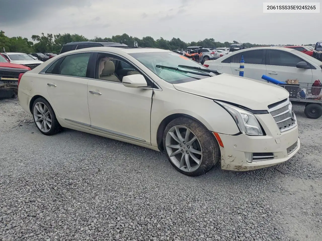 2014 Cadillac Xts Platinum VIN: 2G61S5S35E9245265 Lot: 57969316