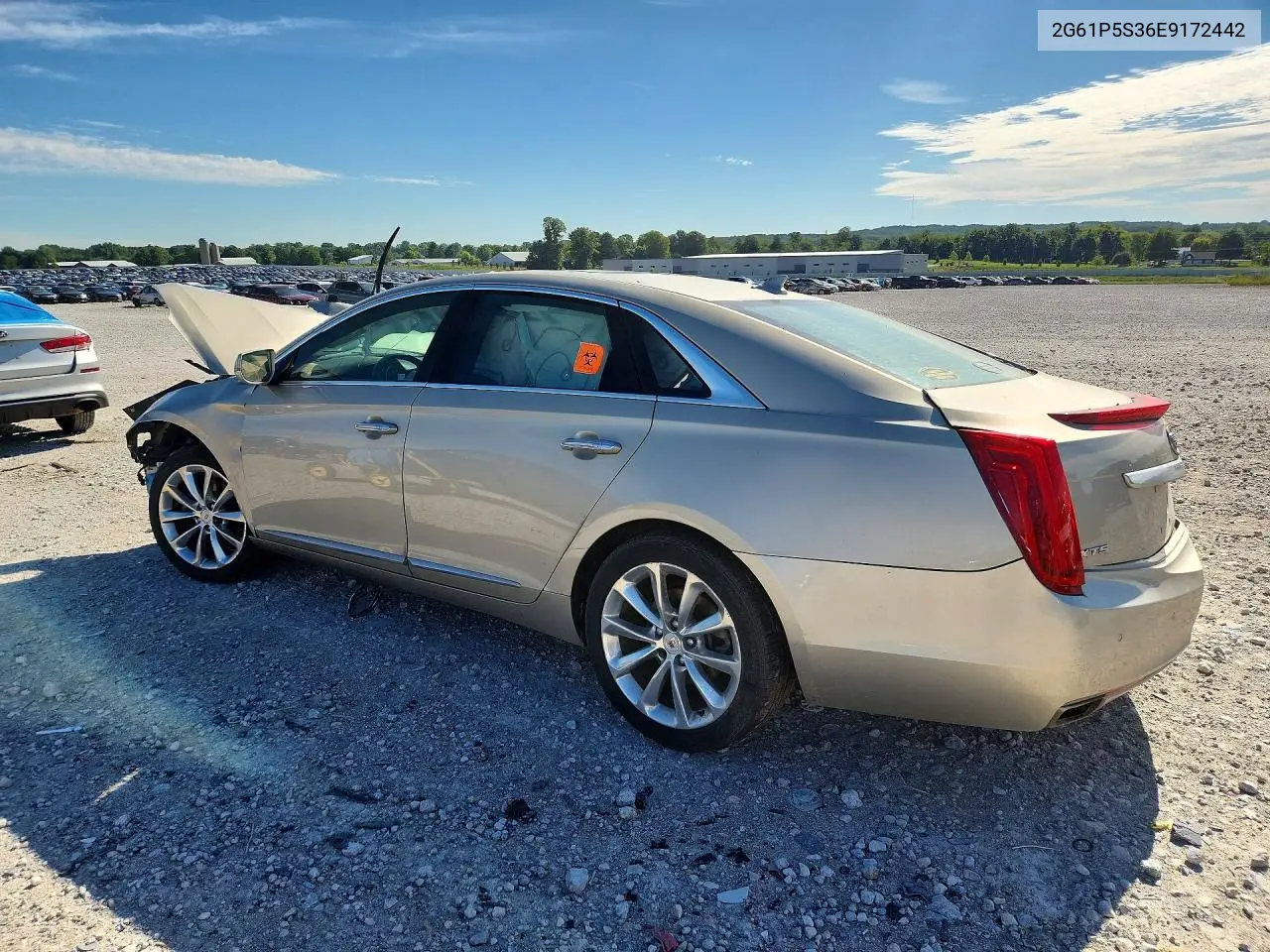 2014 Cadillac Xts Premium Collection VIN: 2G61P5S36E9172442 Lot: 58382956