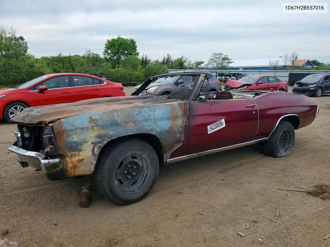 1972 Chevrolet Ss VIN: 1D67H2B557016 Lot: 54330696
