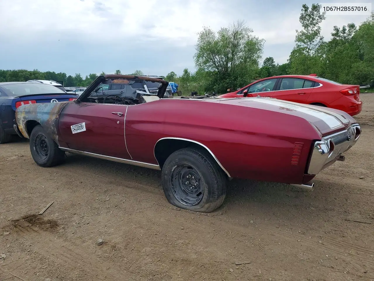1972 Chevrolet Ss VIN: 1D67H2B557016 Lot: 54330696