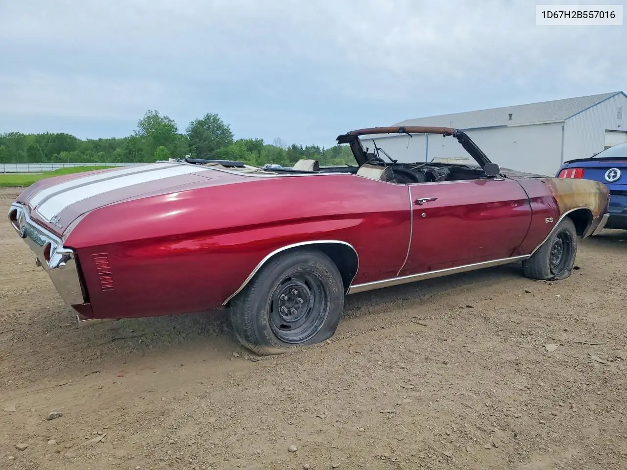 1972 Chevrolet Ss VIN: 1D67H2B557016 Lot: 54330696