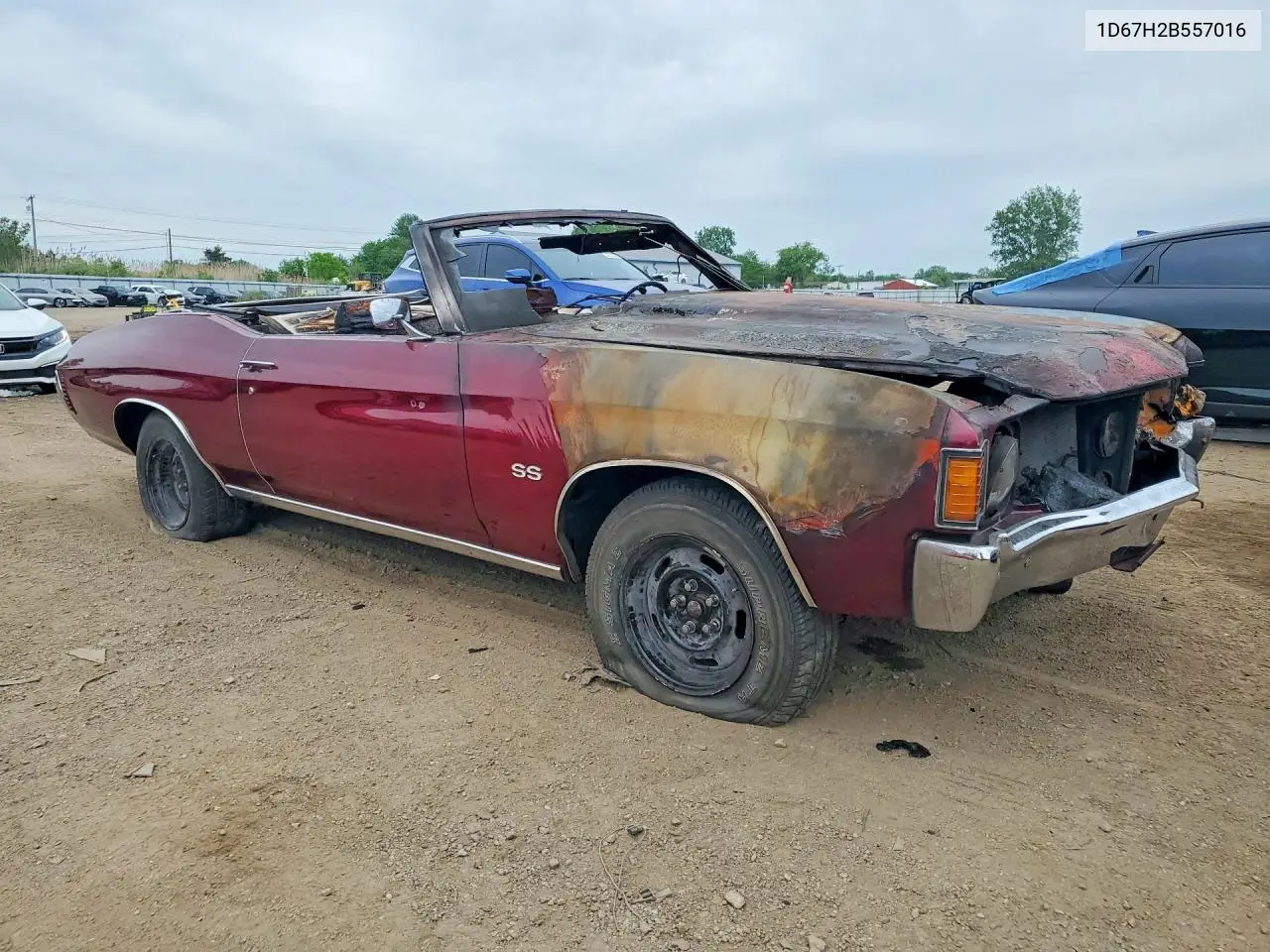 1972 Chevrolet Ss VIN: 1D67H2B557016 Lot: 54330696