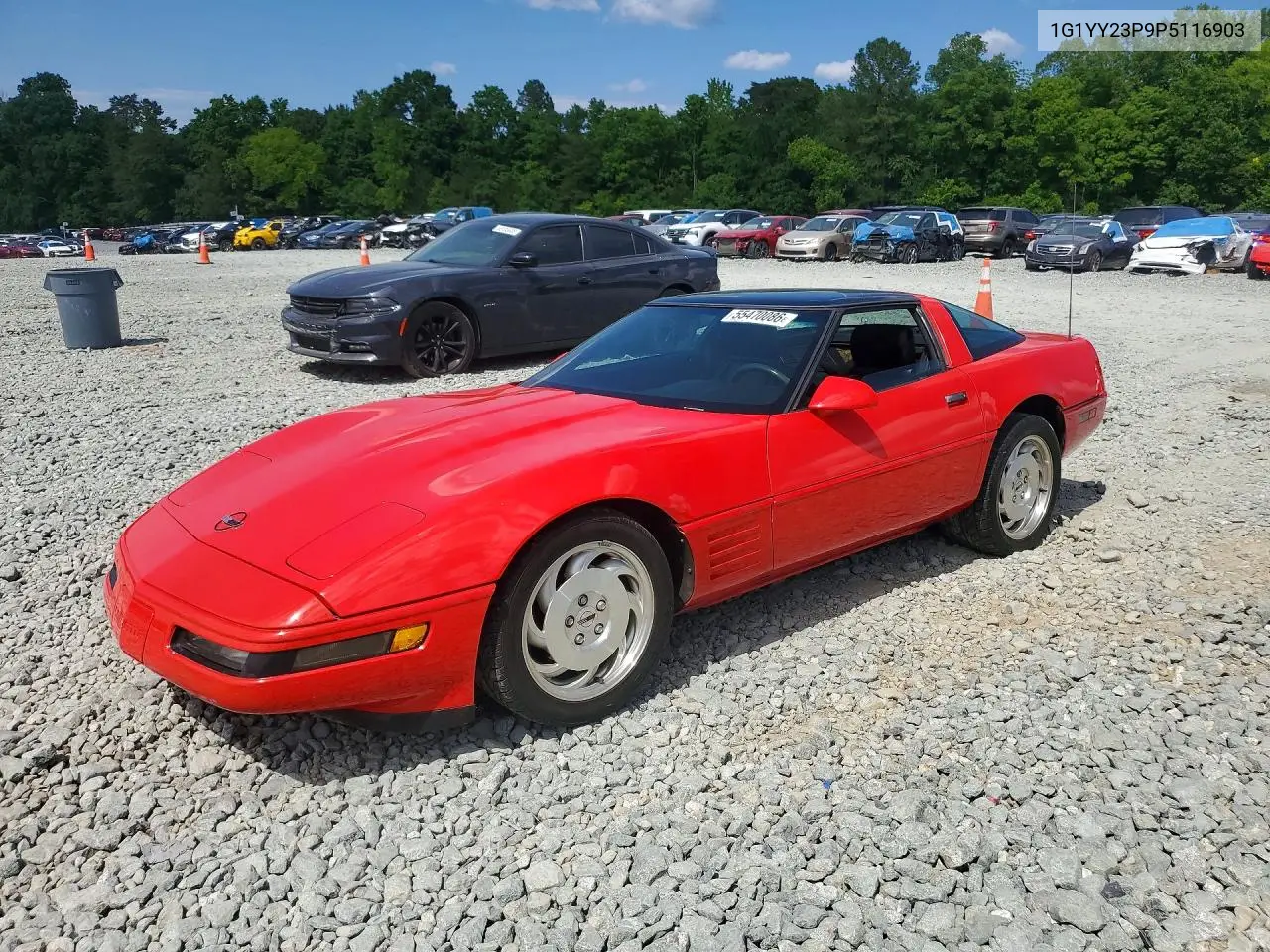 1993 Chevrolet Corvette VIN: 1G1YY23P9P5116903 Lot: 55470086