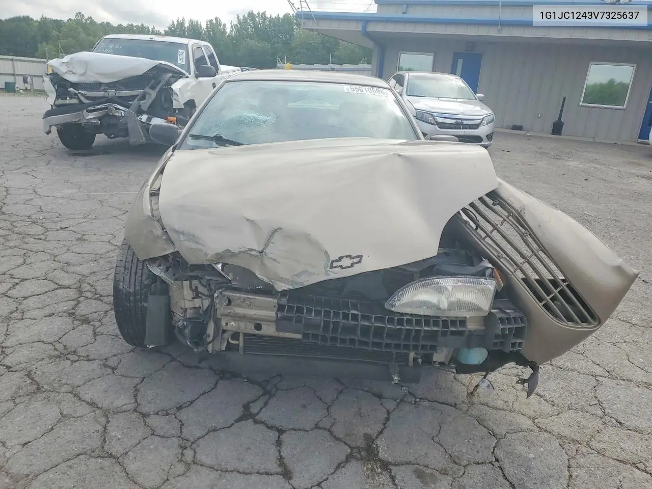 1997 Chevrolet Cavalier Base VIN: 1G1JC1243V7325637 Lot: 55610696