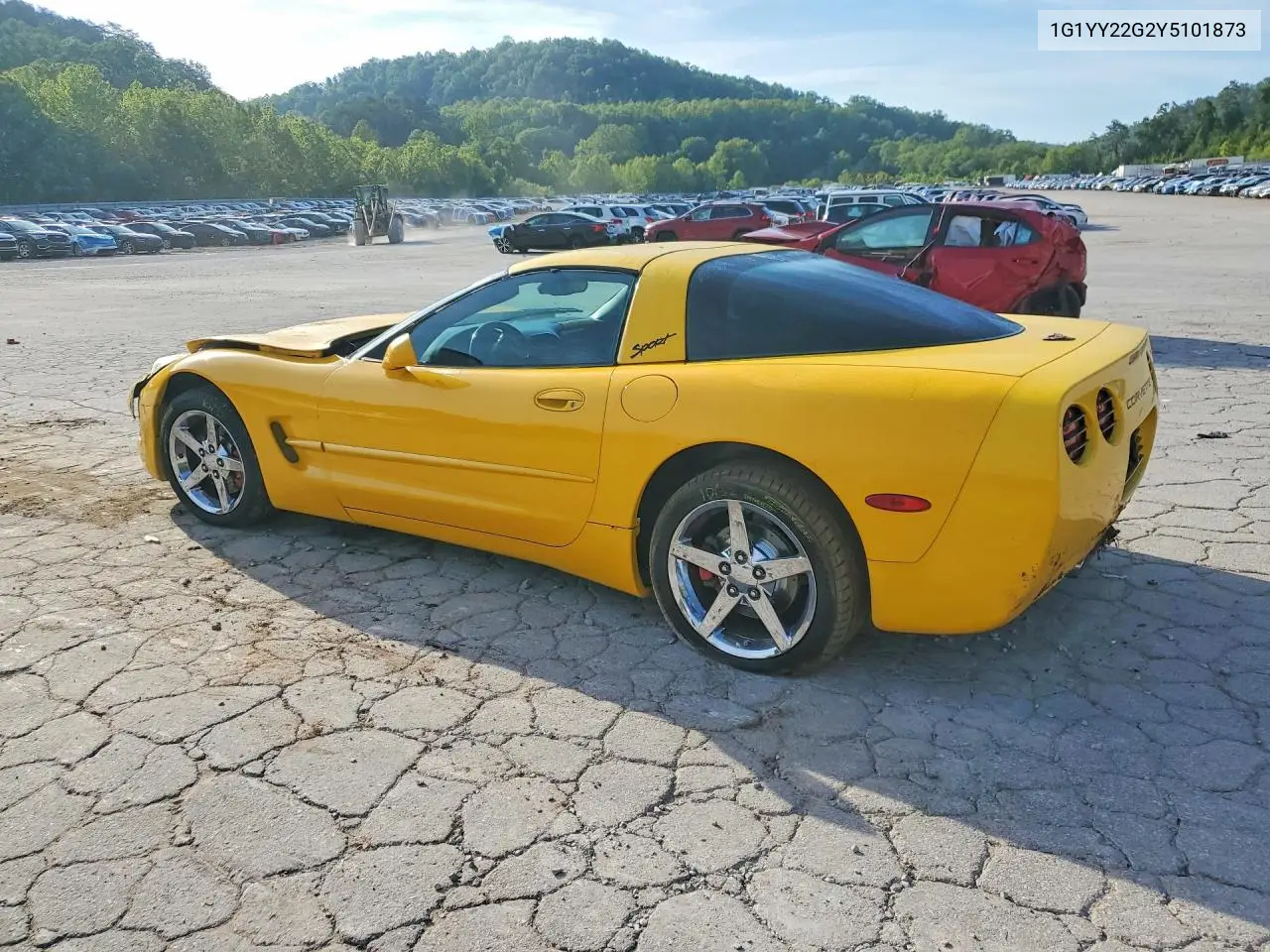 C5
