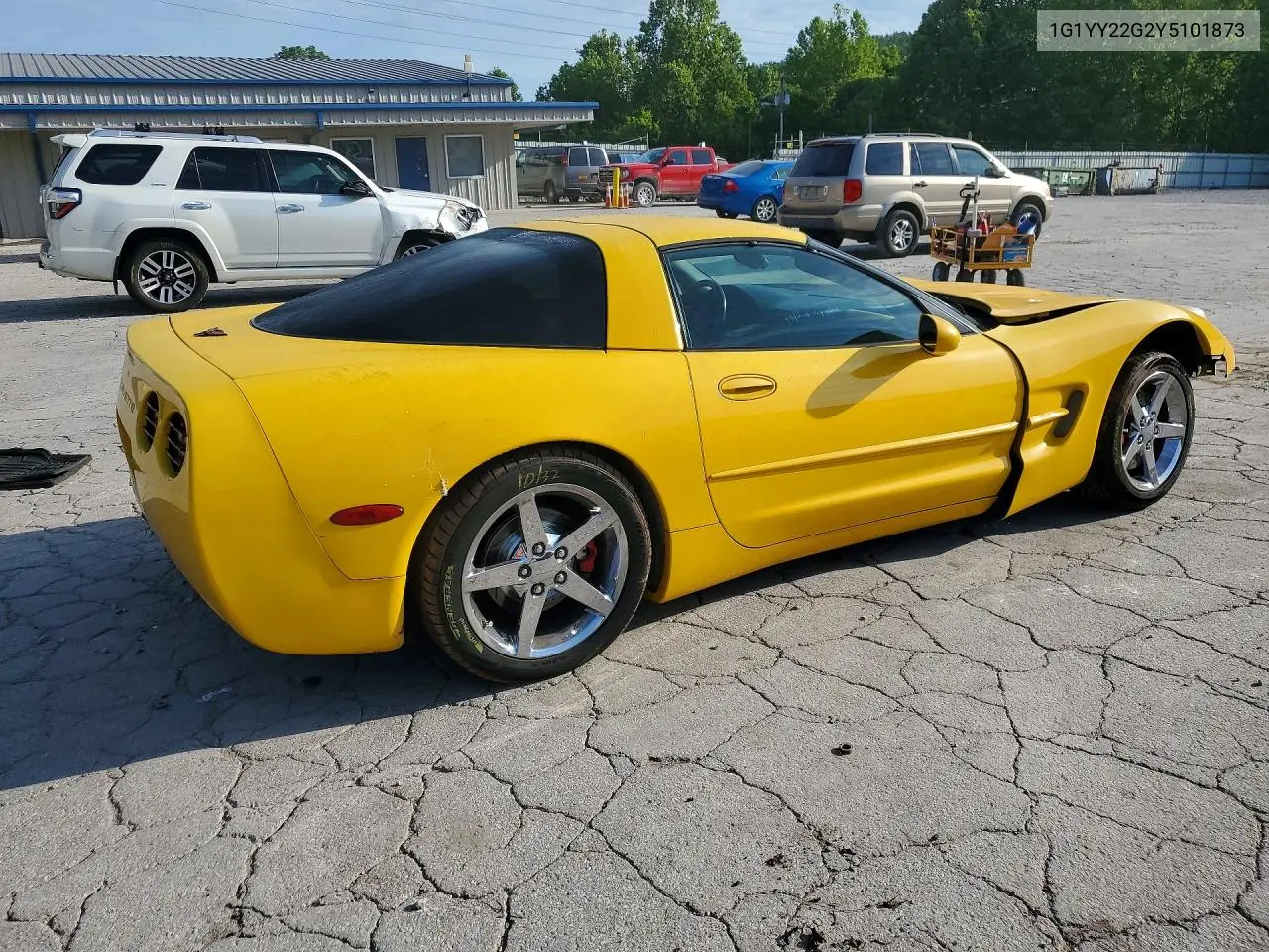 C5