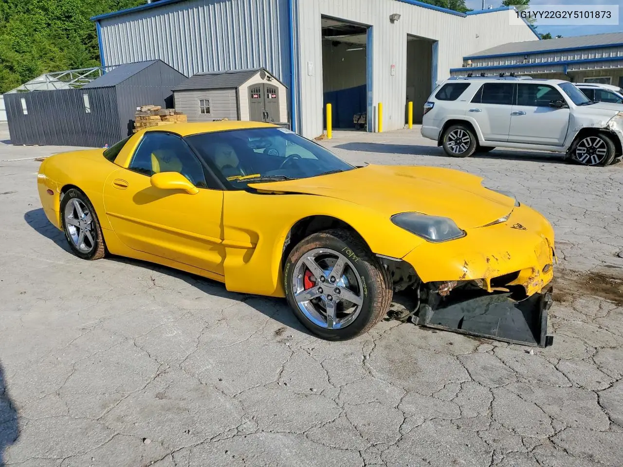C5