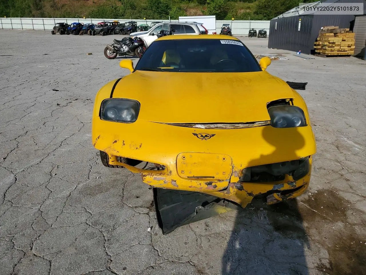 C5