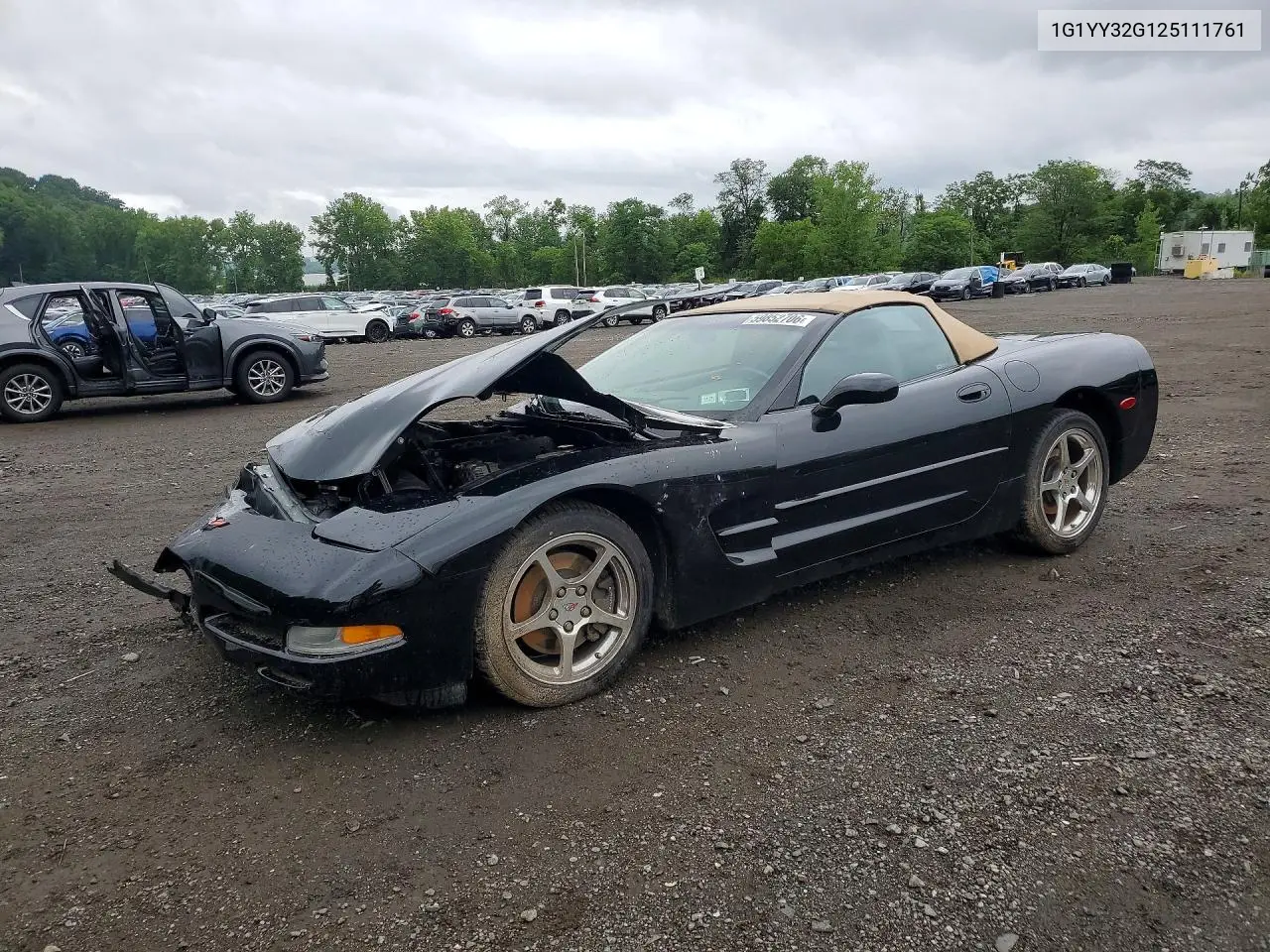 2002 Chevrolet Corvette VIN: 1G1YY32G125111761 Lot: 59852706