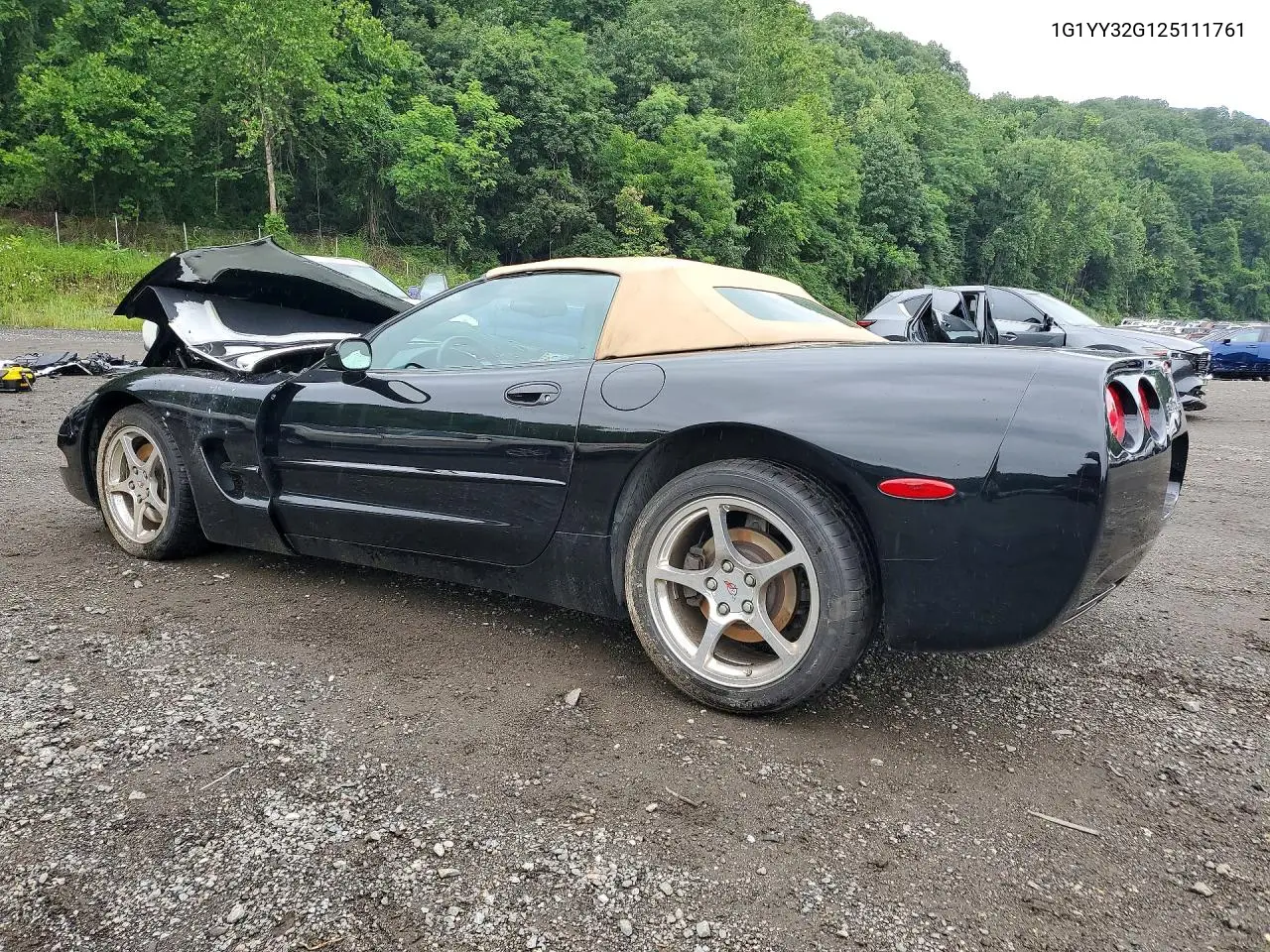 2002 Chevrolet Corvette VIN: 1G1YY32G125111761 Lot: 59852706