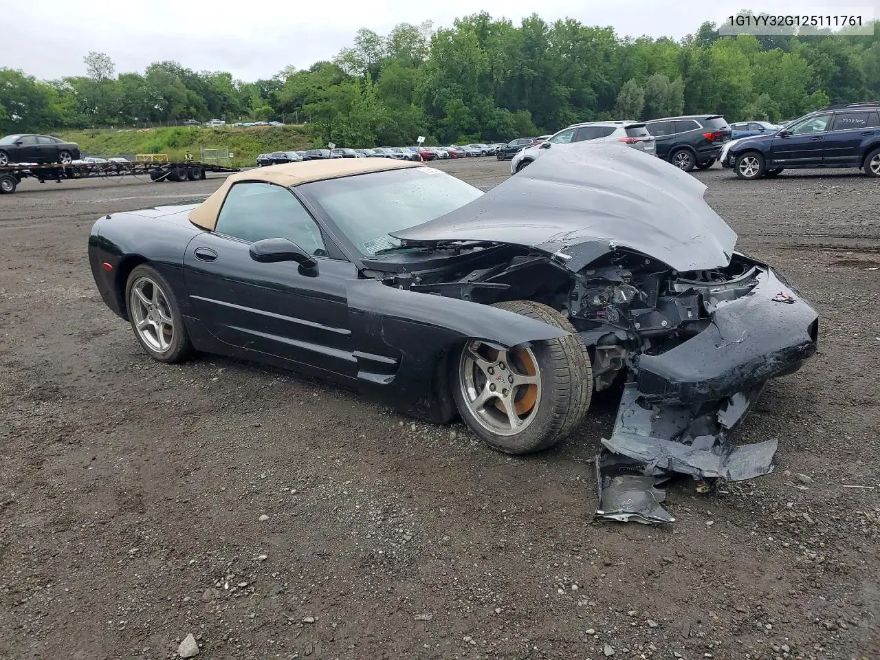 2002 Chevrolet Corvette VIN: 1G1YY32G125111761 Lot: 59852706