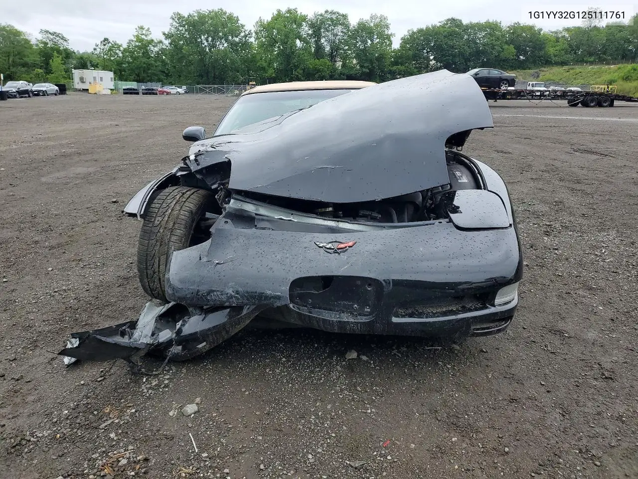 2002 Chevrolet Corvette VIN: 1G1YY32G125111761 Lot: 59852706