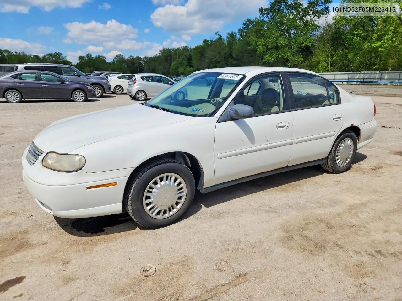 2005 Chevrolet Classic VIN: 1G1ND52F05M223415 Lot: 52428876