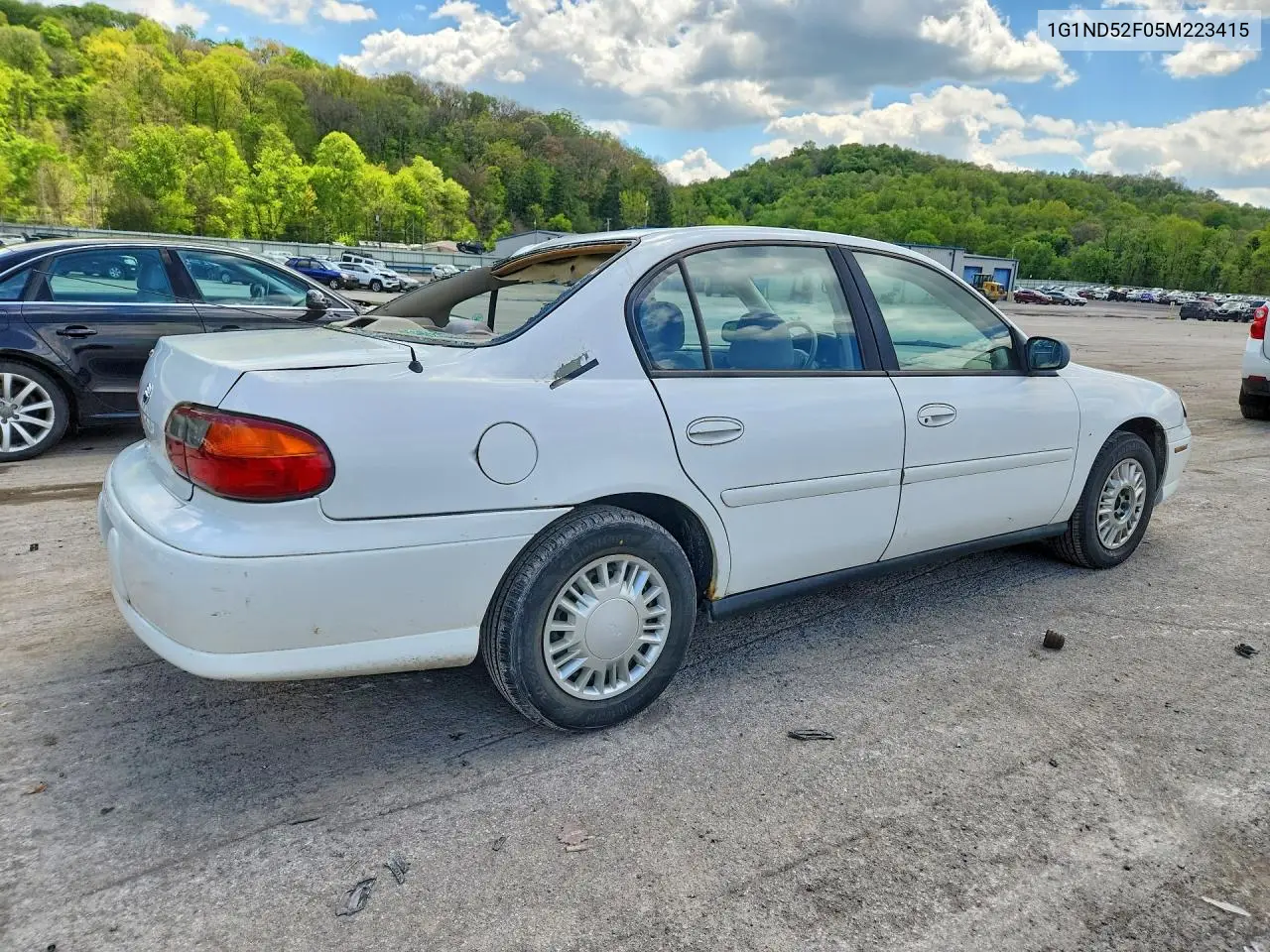 2005 Chevrolet Classic VIN: 1G1ND52F05M223415 Lot: 52428876