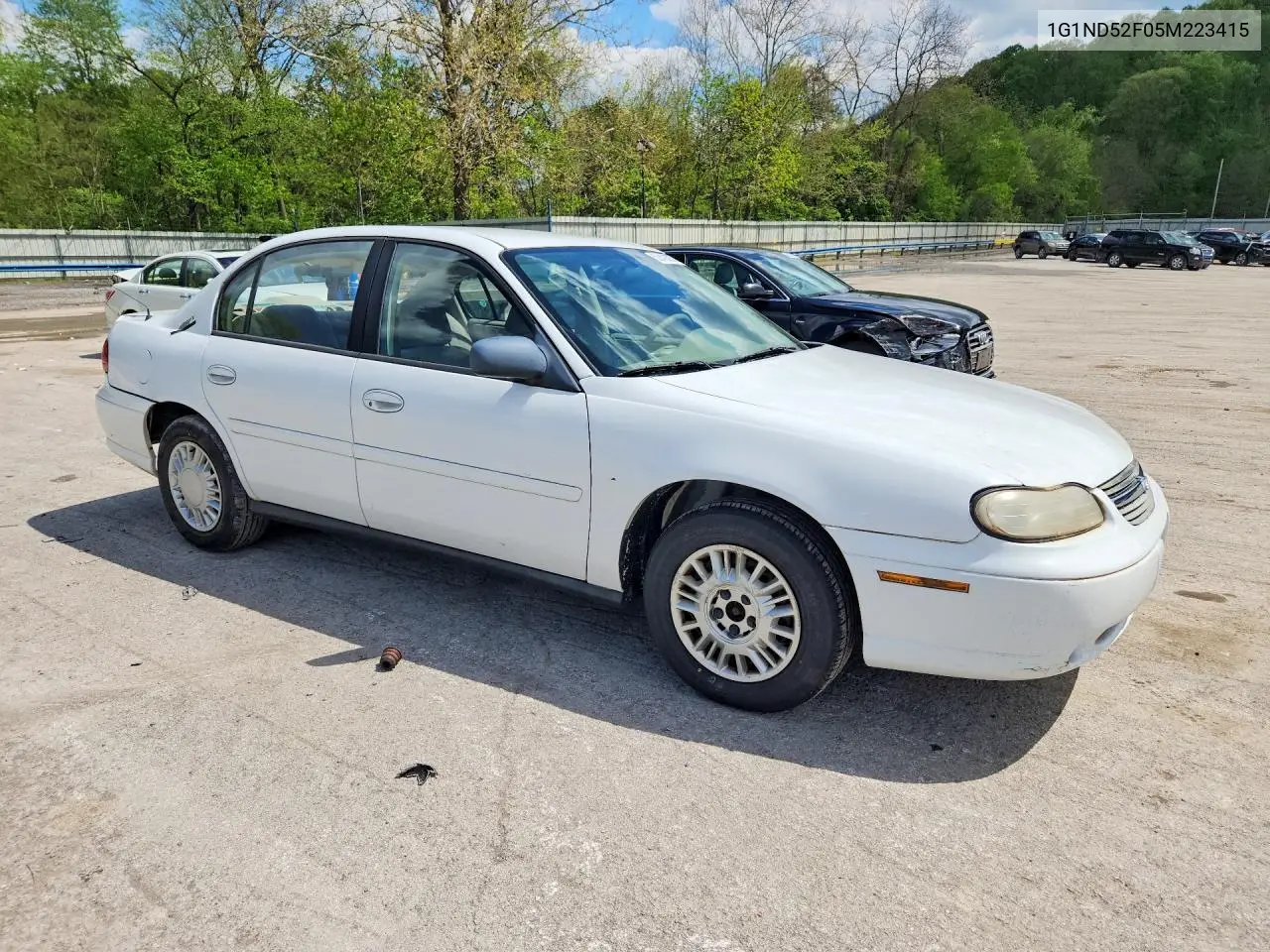 2005 Chevrolet Classic VIN: 1G1ND52F05M223415 Lot: 52428876