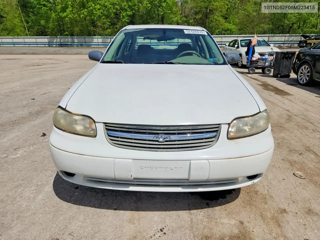 2005 Chevrolet Classic VIN: 1G1ND52F05M223415 Lot: 52428876