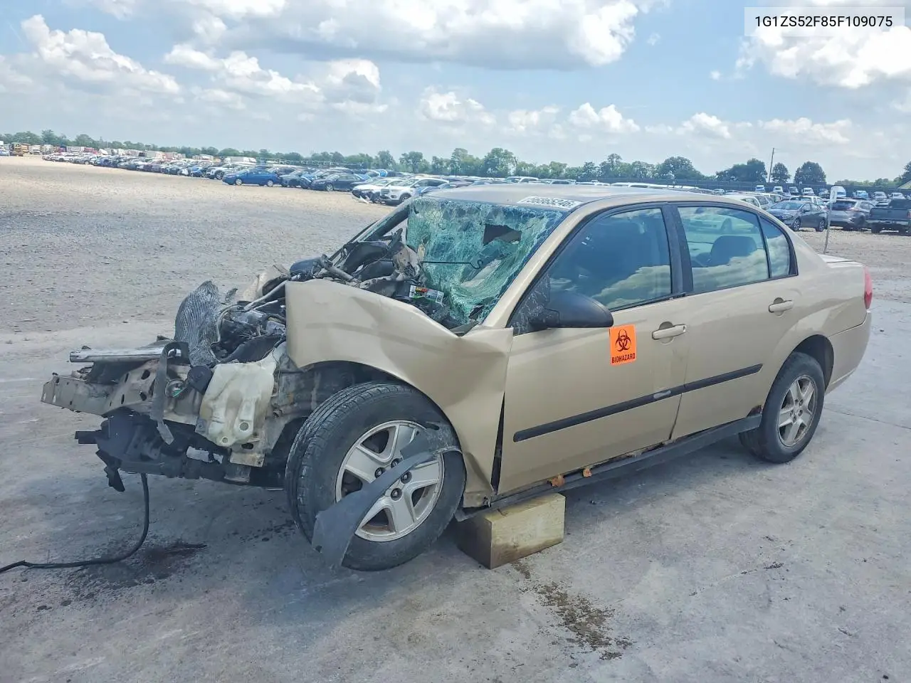 2005 Chevrolet Malibu