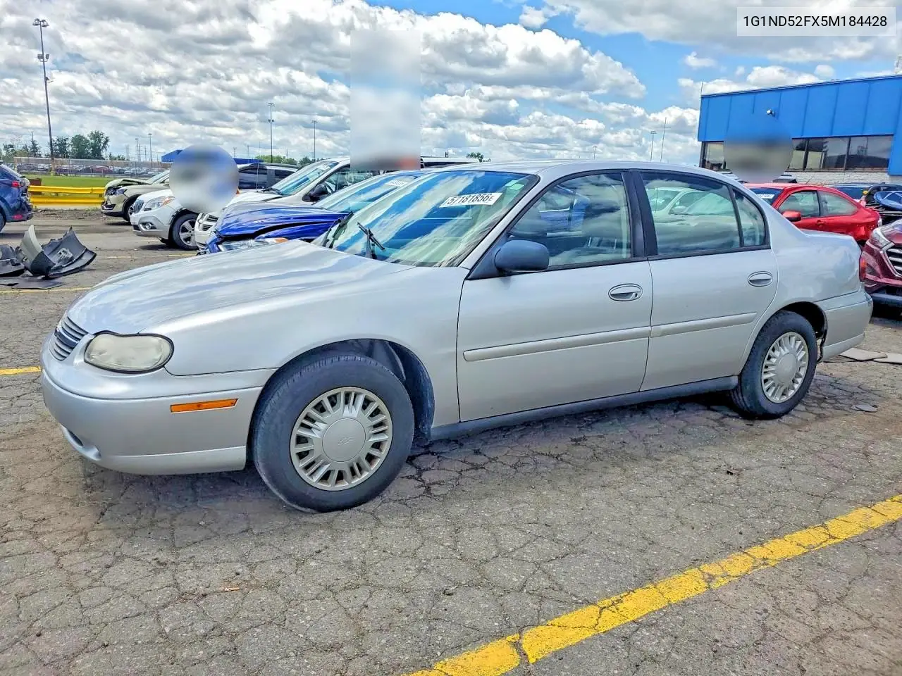 2005 Chevrolet Classic VIN: 1G1ND52FX5M184428 Lot: 57181856