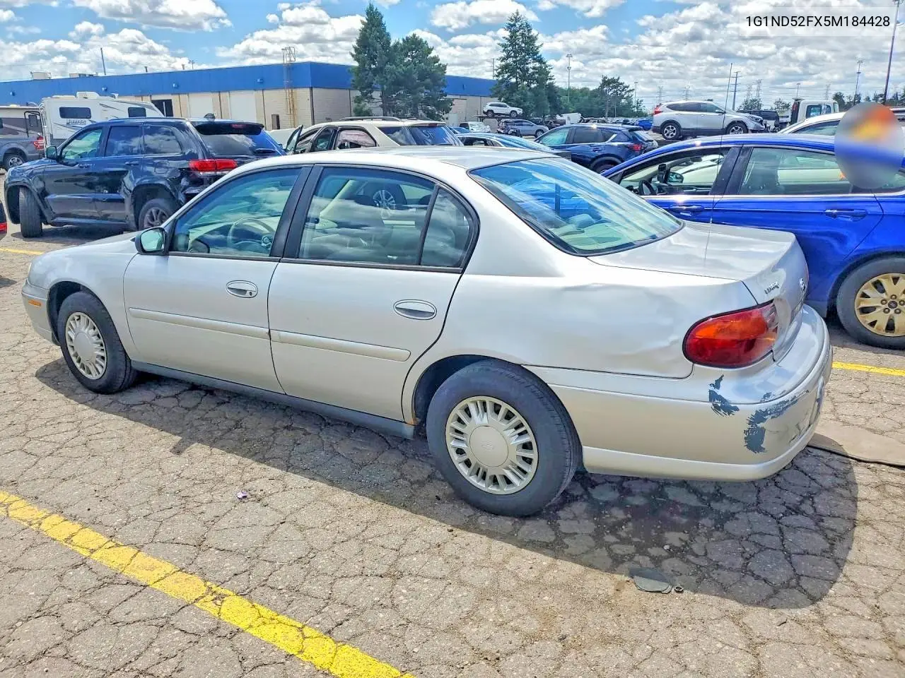 2005 Chevrolet Classic VIN: 1G1ND52FX5M184428 Lot: 57181856