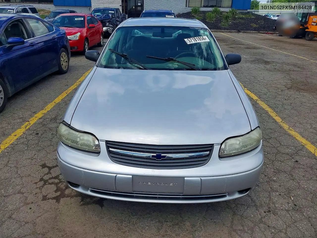 2005 Chevrolet Classic VIN: 1G1ND52FX5M184428 Lot: 57181856