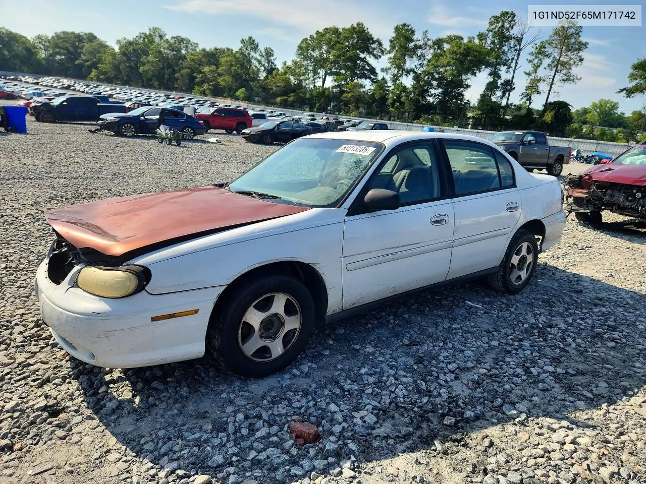 2005 Chevrolet Classic VIN: 1G1ND52F65M171742 Lot: 60313286