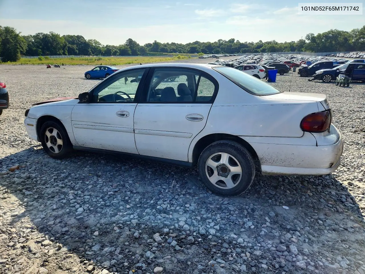 2005 Chevrolet Classic VIN: 1G1ND52F65M171742 Lot: 60313286