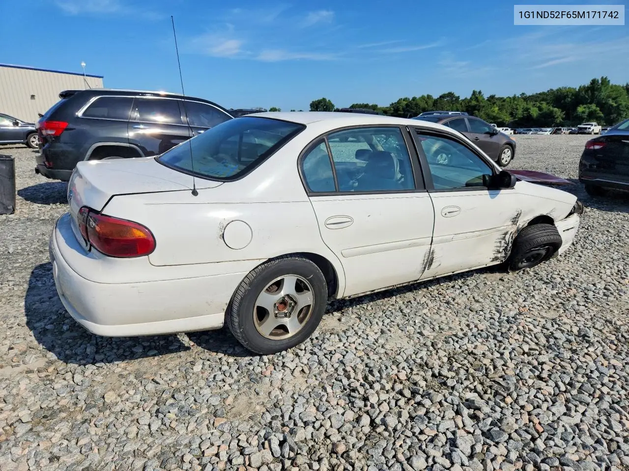2005 Chevrolet Classic VIN: 1G1ND52F65M171742 Lot: 60313286