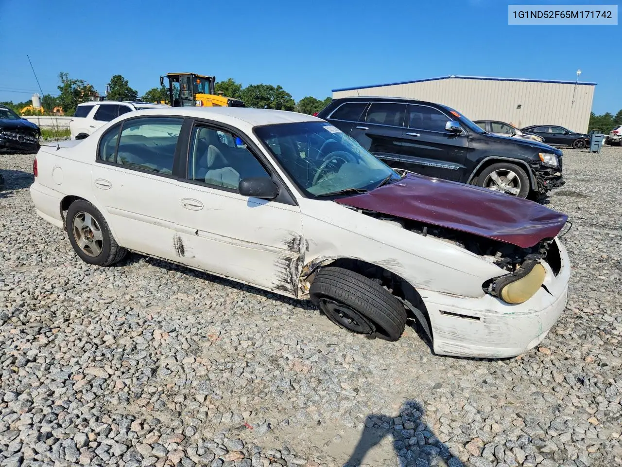 2005 Chevrolet Classic VIN: 1G1ND52F65M171742 Lot: 60313286