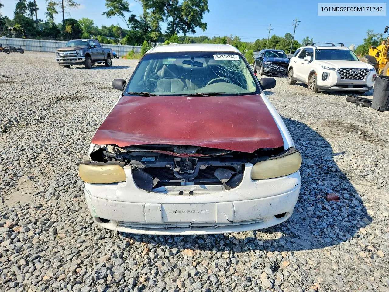 2005 Chevrolet Classic VIN: 1G1ND52F65M171742 Lot: 60313286
