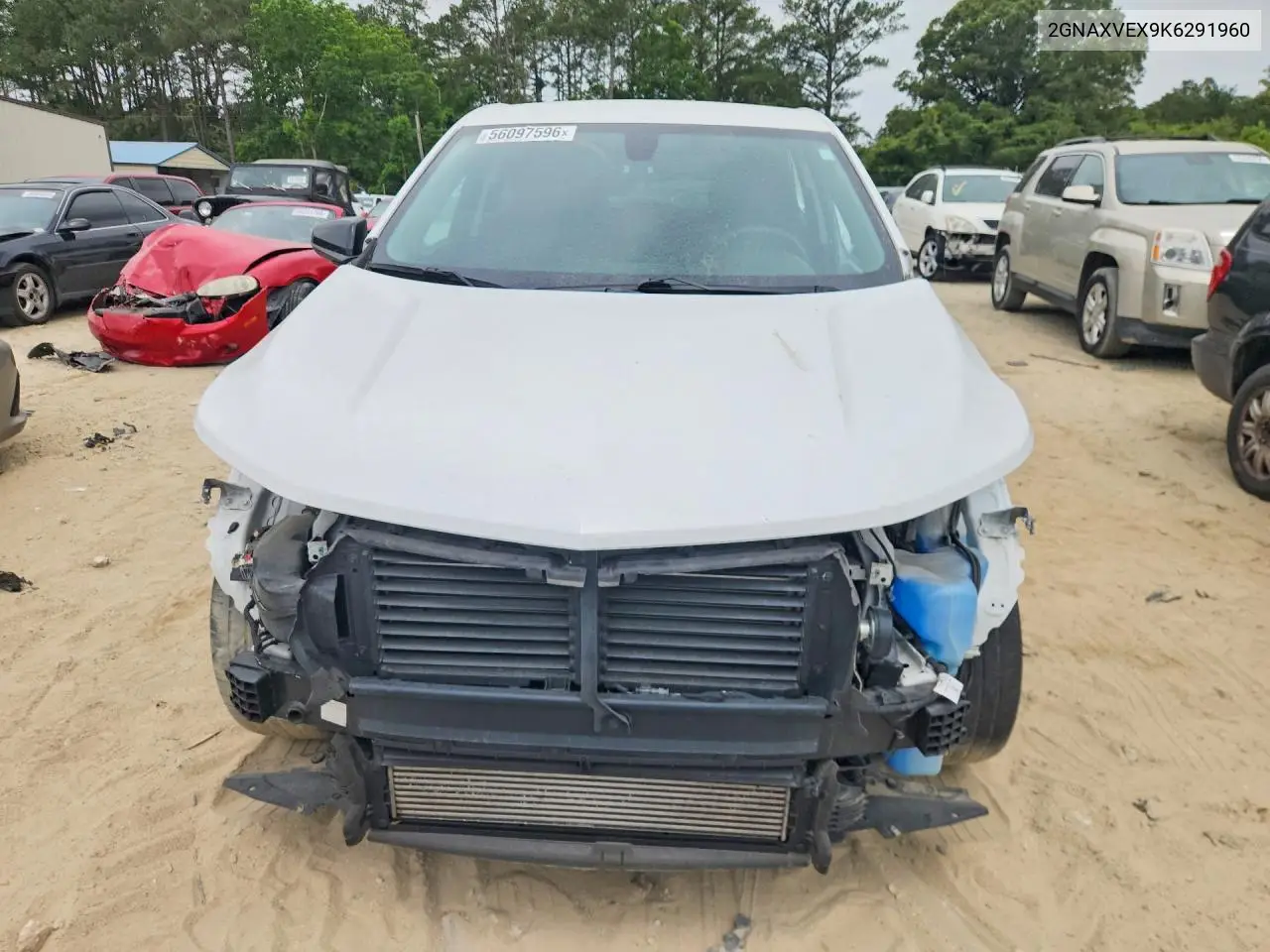 2019 Chevrolet Equinox Lt VIN: 2GNAXVEX9K6291960 Lot: 56097596