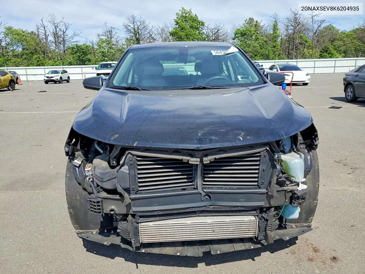 2019 Chevrolet Equinox Ls VIN: 2GNAXSEV8K6204935 Lot: 56430206