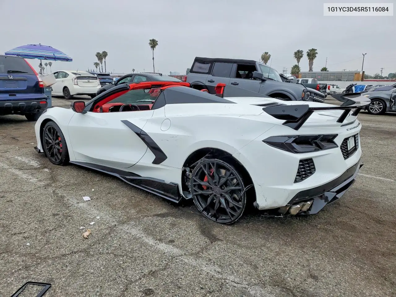 Corvette
