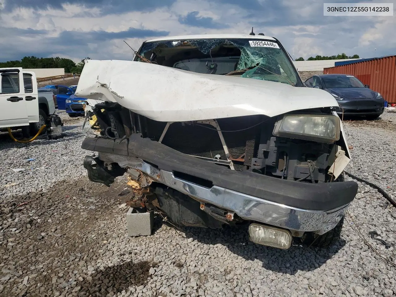 2005 Chevrolet Avalanche C1500 VIN: 3GNEC12Z55G142238 Lot: 59254446