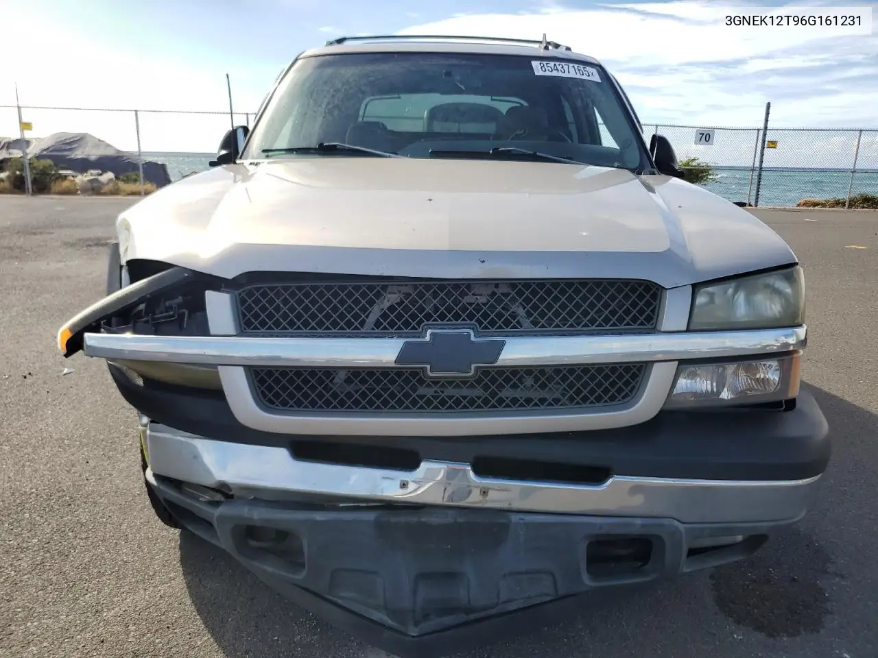 3GNEK12T96G161231 2006 Chevrolet Avalanche K1500