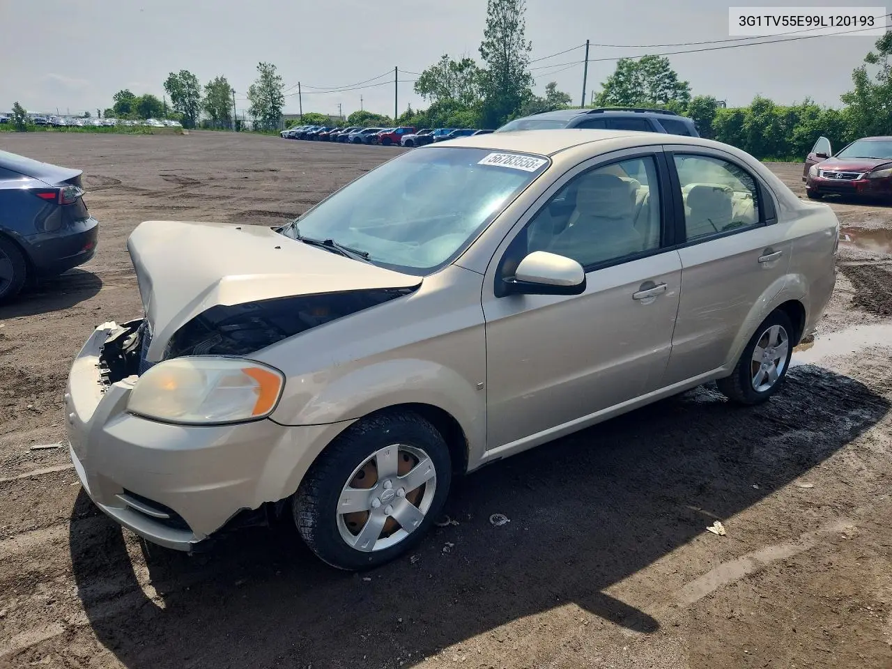 2009 Chevrolet Aveo Ls VIN: 3G1TV55E99L120193 Lot: 56783556
