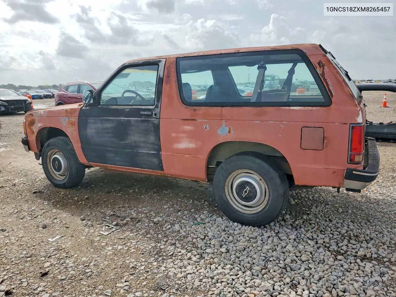 1991 Chevrolet Blazer S10 VIN: 1GNCS18ZXM8265457 Lot: 61090266