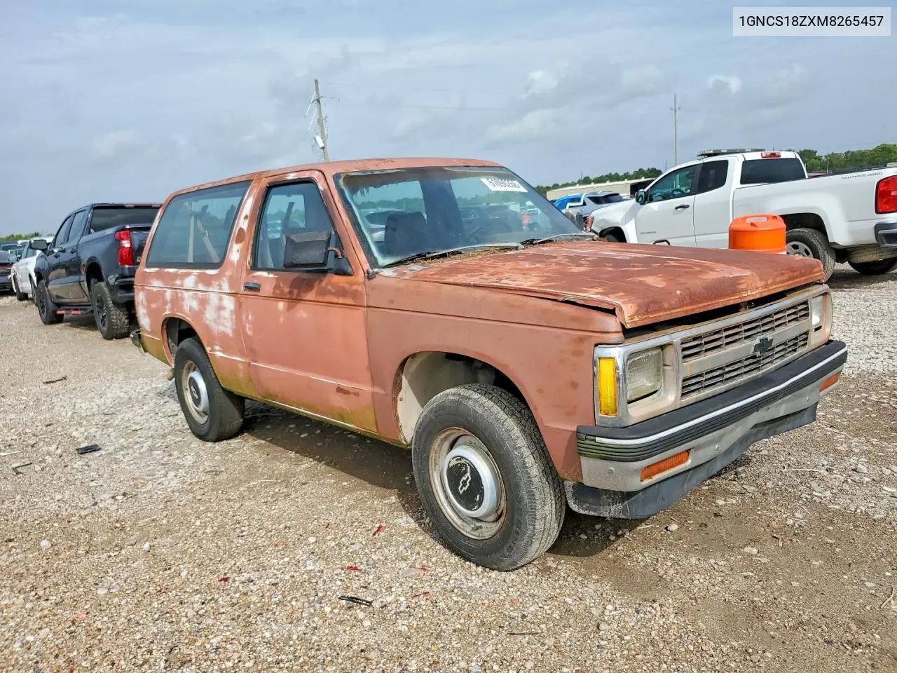 1991 Chevrolet Blazer S10 VIN: 1GNCS18ZXM8265457 Lot: 61090266