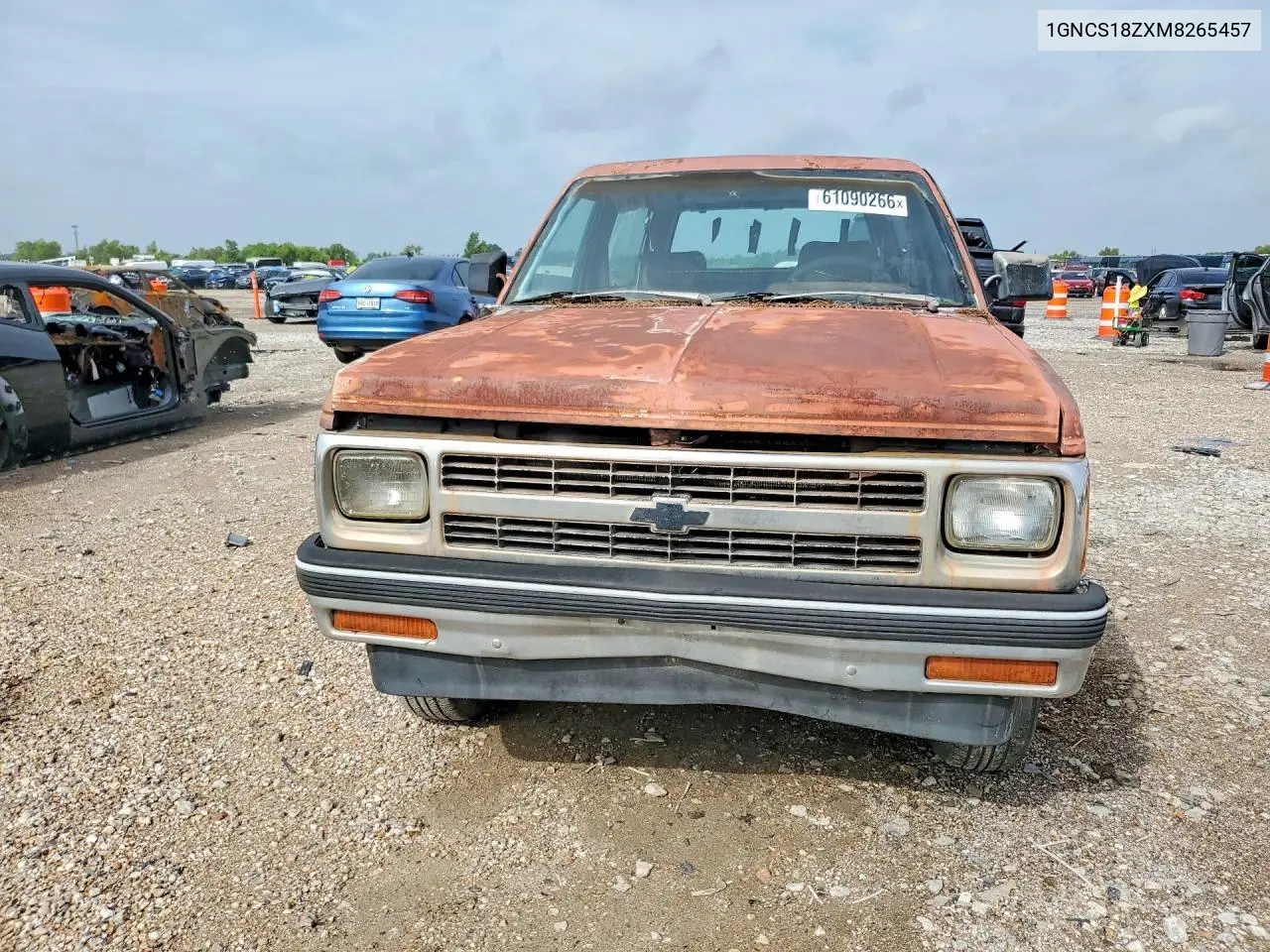 1991 Chevrolet Blazer S10 VIN: 1GNCS18ZXM8265457 Lot: 61090266